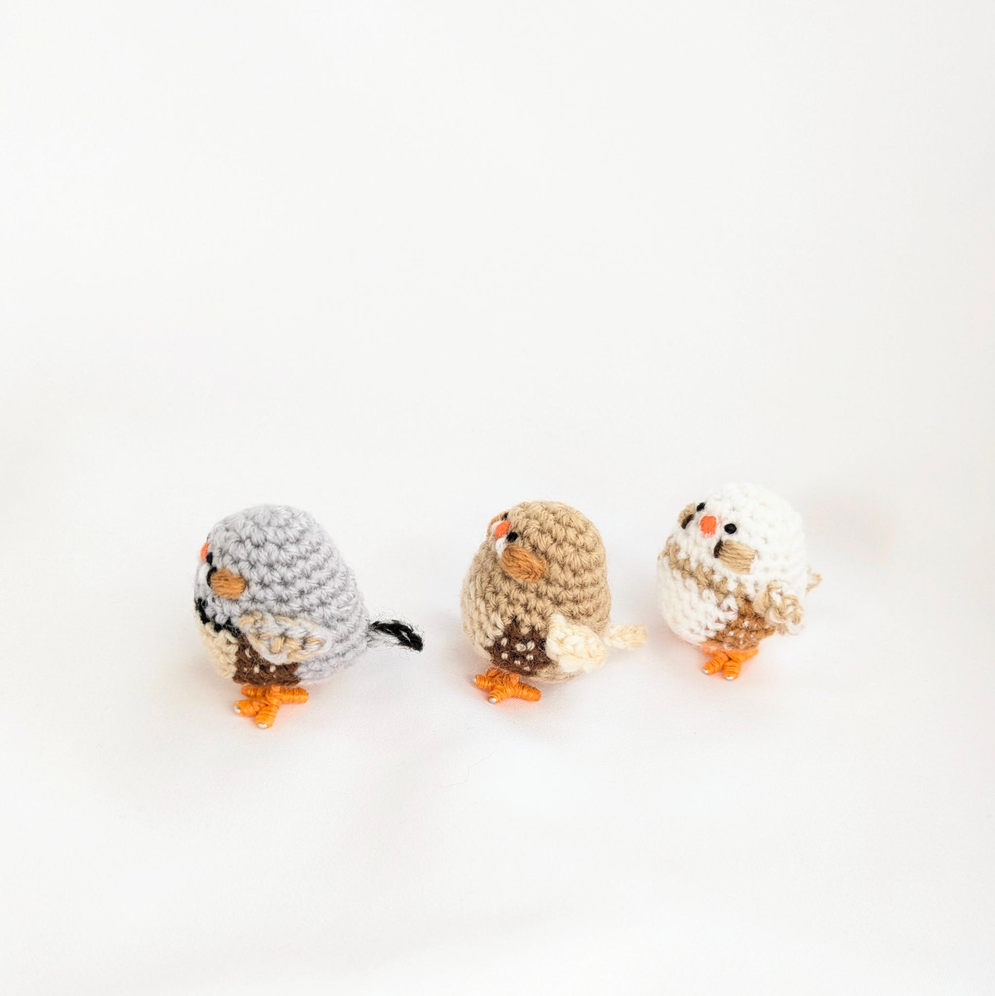 【受注制作】小さなキンカチョウのあみぐるみ | 3枚目