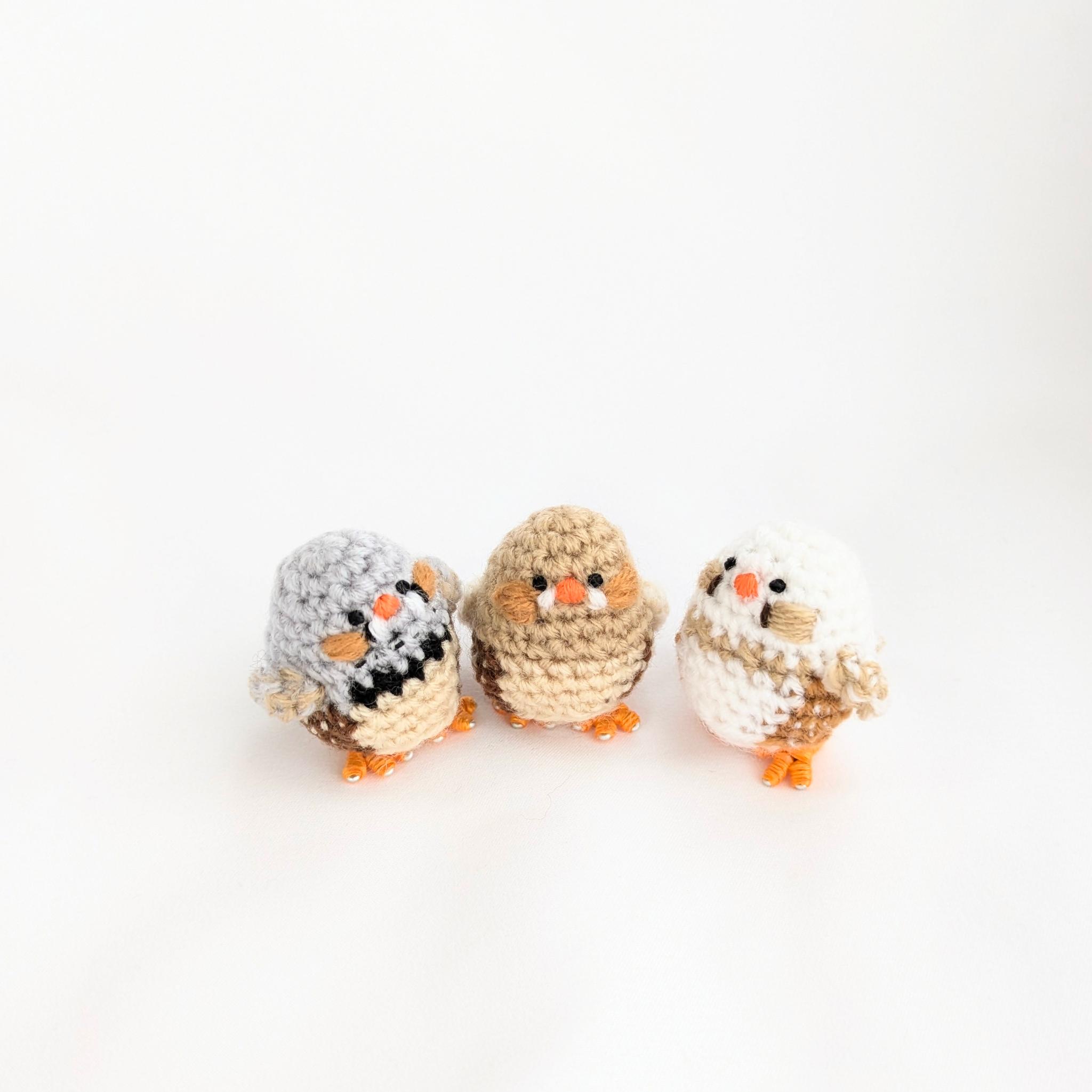 【受注制作】小さなキンカチョウのあみぐるみ | 6枚目