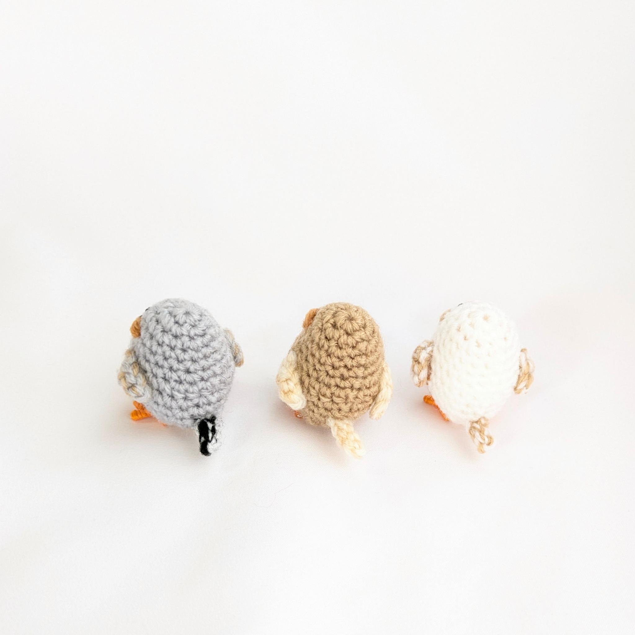 【受注制作】小さなキンカチョウのあみぐるみ | 7枚目